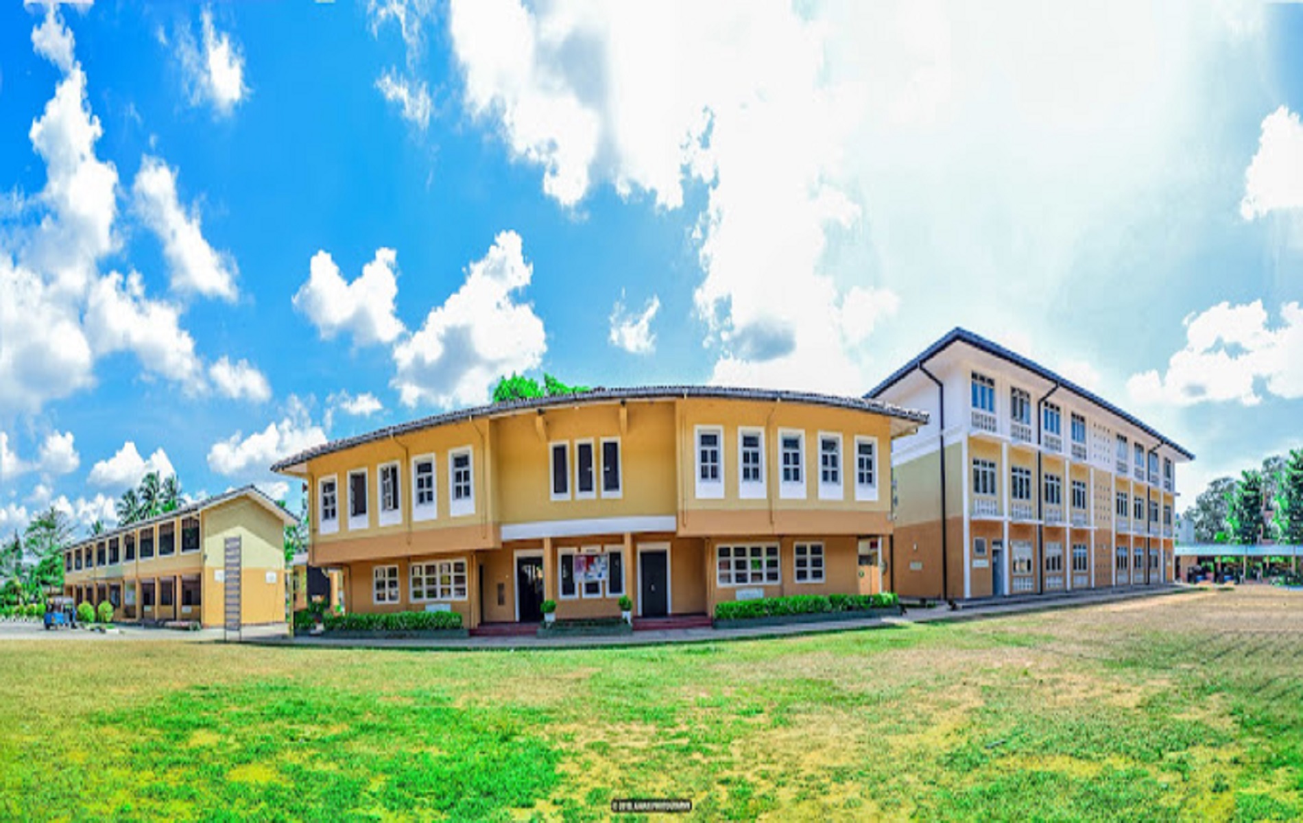 Free Bootstrap Template by ProBootstrap.com